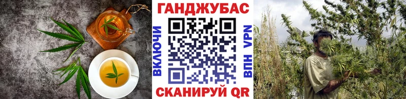 KRAKEN рабочий сайт  мориарти как зайти  Canna-Cookies конопля  Плёс 