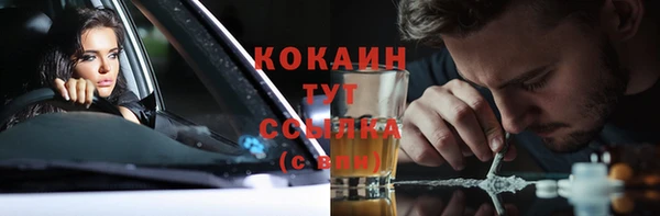 PSILOCYBIN Верея