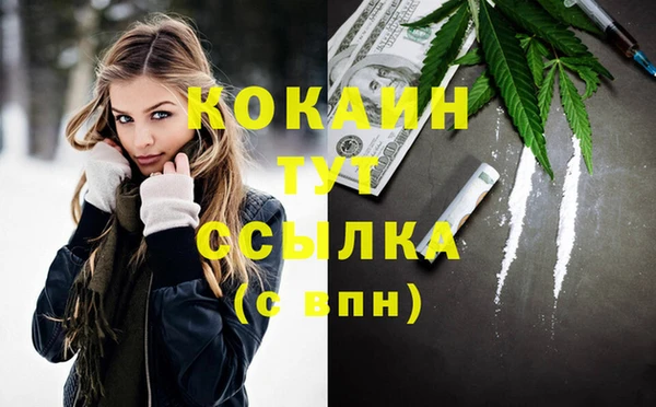 мдпв Верхний Тагил