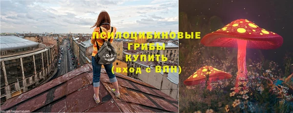 мдпв Верхний Тагил