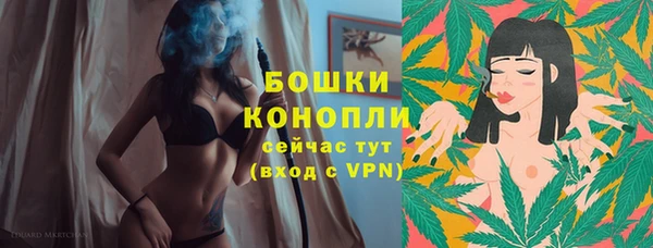 PSILOCYBIN Верея