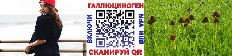 Галлюциногенные грибы GOLDEN TEACHER  где найти наркотики  hydra зеркало  Плёс 